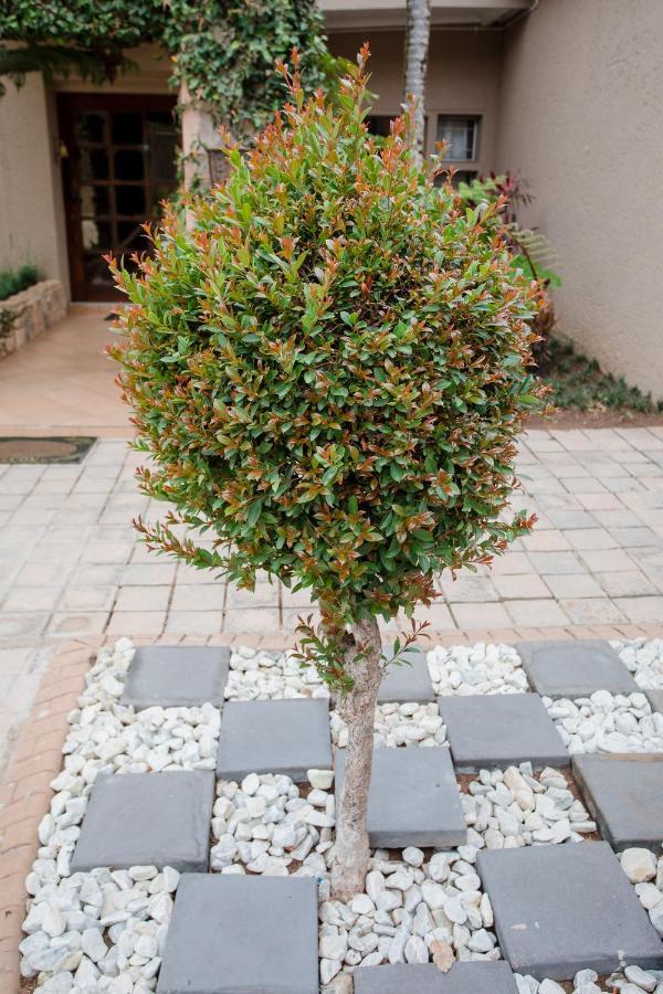 4 Gazelle Guesthouse Mbombela Exteriér fotografie